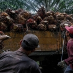 Indonesia halts migrant labor exports to Malaysia