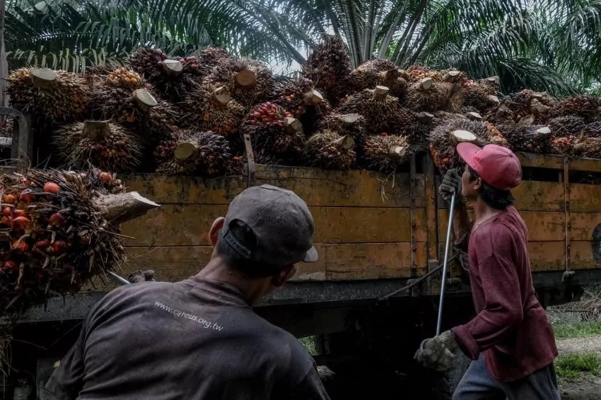 Indonesia halts migrant labor exports to Malaysia