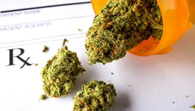 Indonesian Court rejects request to legalize medical marijuana