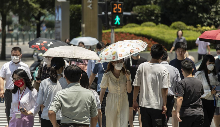 The ice industry flourishes in the summer heat in Shanghai