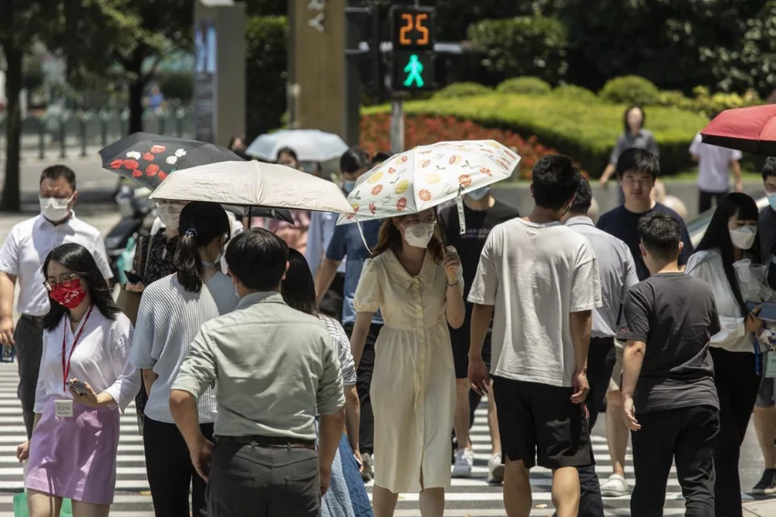 The ice industry flourishes in the summer heat in Shanghai