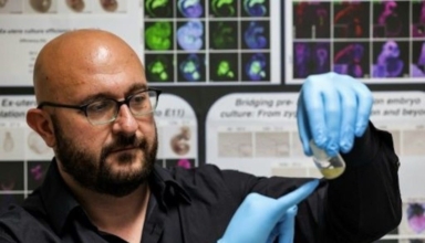 Why the world's first' synthetic embryo' is important