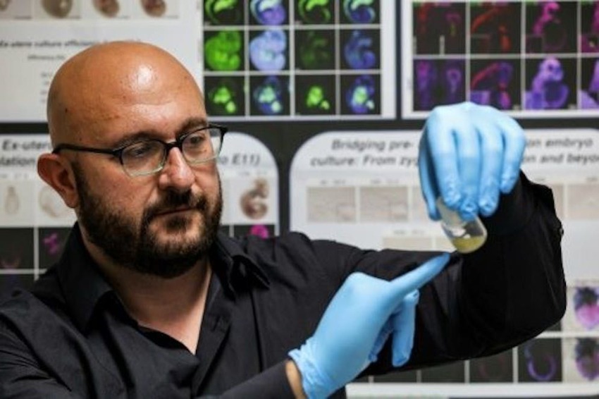 Why the world's first' synthetic embryo' is important