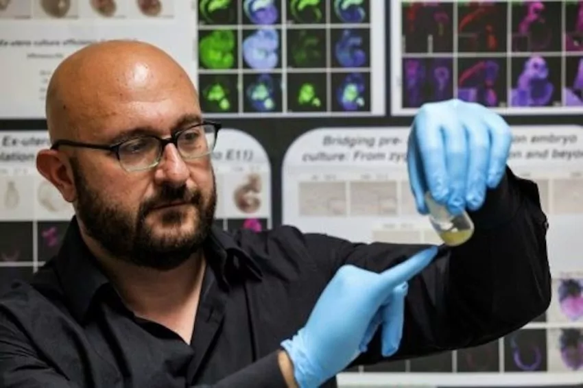 Why the world's first' synthetic embryo' is important