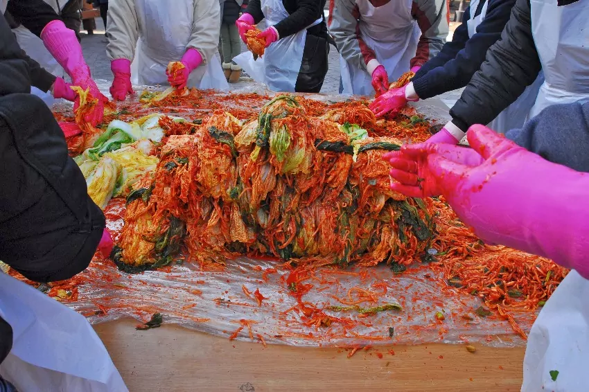 Kimchi crisis unfolds as cabbage go scarce