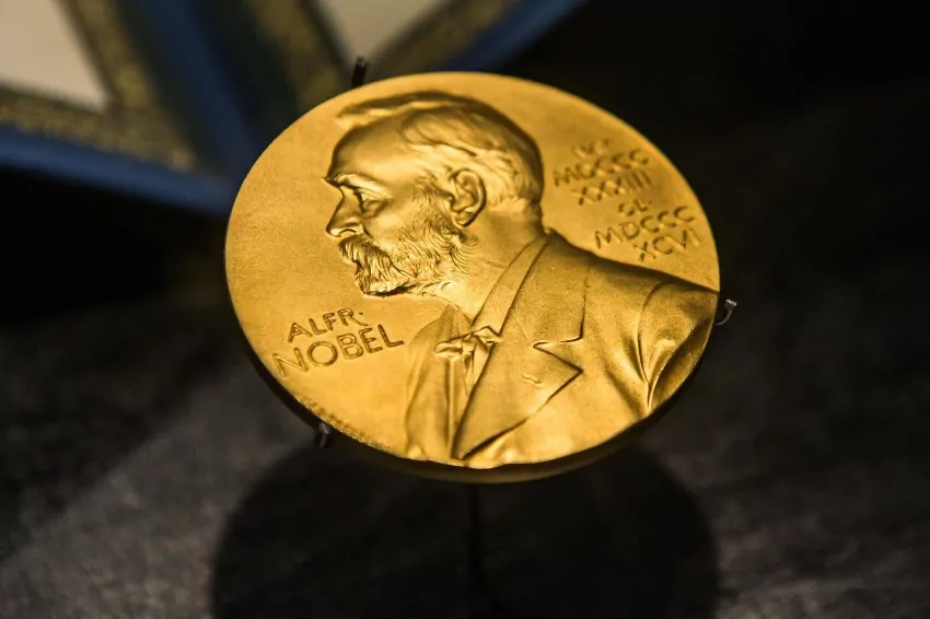 2022 Nobel Prize in Chemistry goes to pioneers of Lego-like ‘click chemistry’