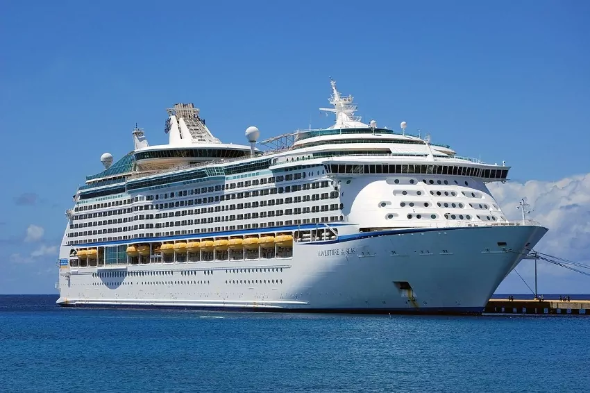 Singaporean allegedly steals a bra on a cruise ship