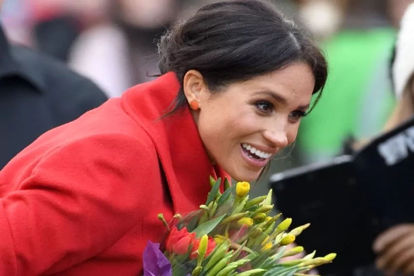 The new photograph of Meghan and Harry is an insult to the Royal family