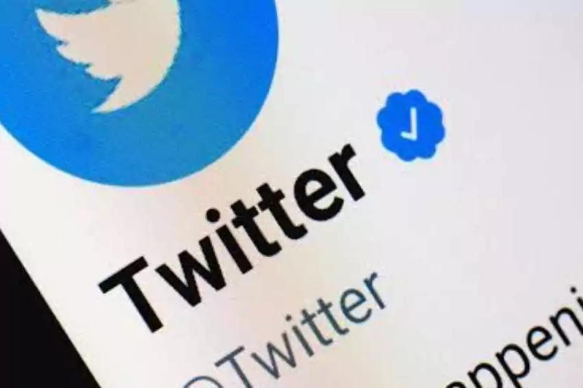 musk delays blue check verification on twitter