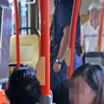 Porn's Effects Singaporean man admits molesting a girl on a bus