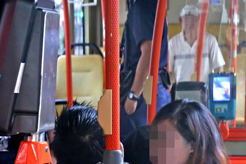 Porn's Effects Singaporean man admits molesting a girl on a bus