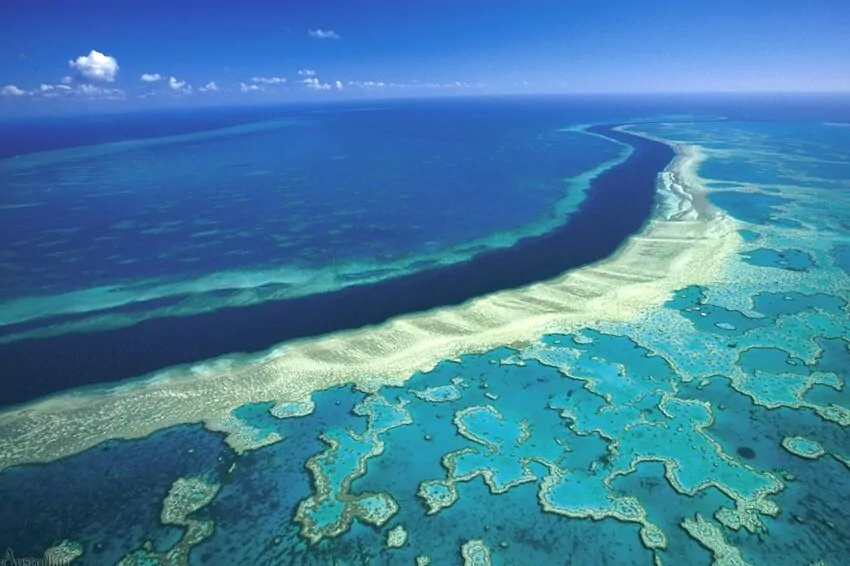 UN panel recommends listing Great Barrier Reef as “in danger”