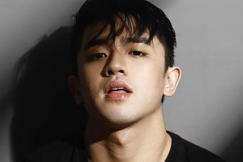 6 times that david licauco had the internet in awe
