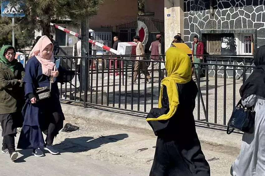 after the taliban ban, women couldn't go to university in afghanistan