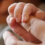 japanese government wants to give people 80,000 to have babies