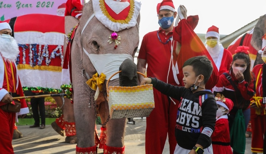 santa claus gives gifts on elephants in thailand