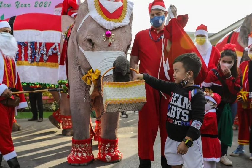 Santa Claus gives gifts on elephants in Thailand
