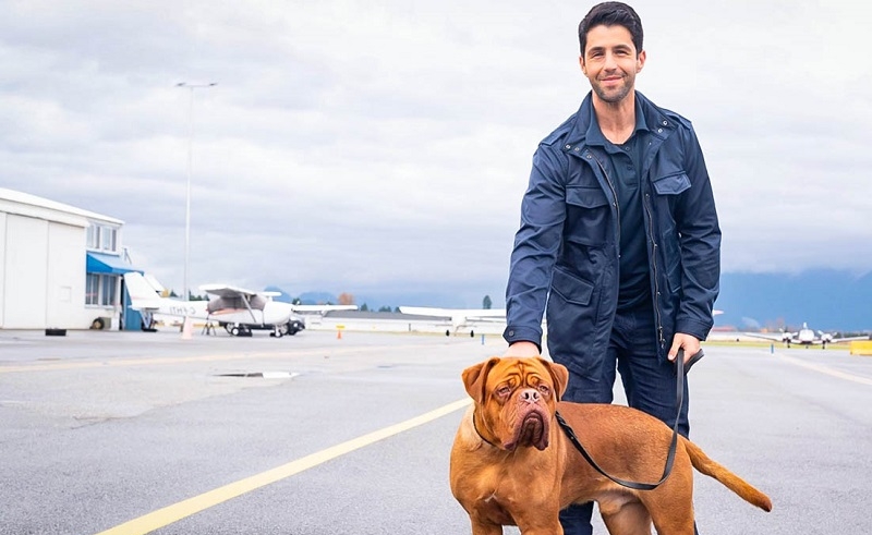 turner amp hooch season 2 release date cast etc