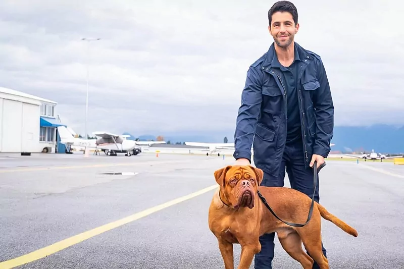 Turner & Hooch Season 2 Release date, cast, etc