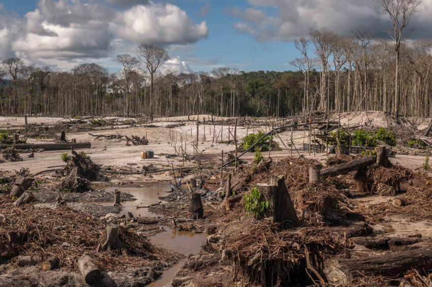 brazil conducts its first anti deforestation operations as part of lula's effort to conserve the amazon