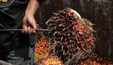 malaysian firms are pleased with the reduced need for foreign labor, but worries remain