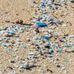 microplastics are omnipresent, but there are methods to cut back