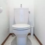 singapore cops save chinese lady trapped in condo toilet for 4 days