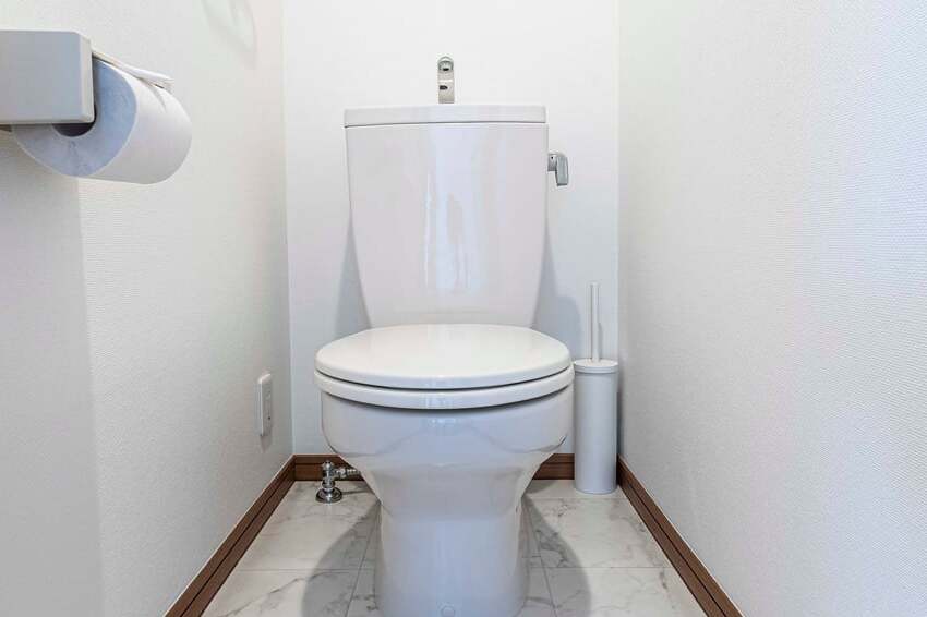 singapore cops save chinese lady trapped in condo toilet for 4 days