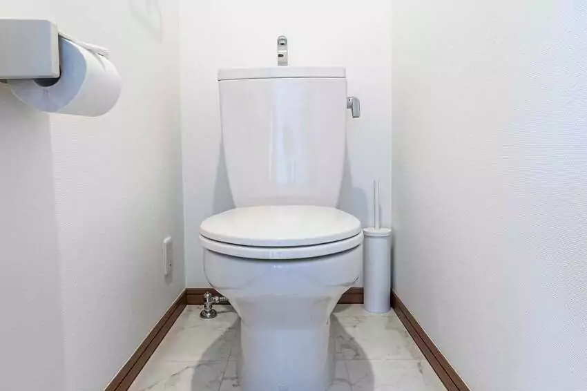 singapore cops save chinese lady trapped in condo toilet for 4 days
