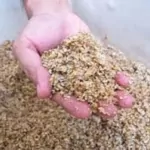 alterpacks in singapore transforms food waste into containers