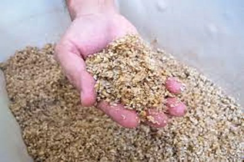 alterpacks in singapore transforms food waste into containers