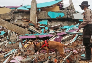 deadly quake strikes indonesian island of sulawesi