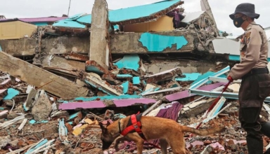 deadly quake strikes indonesian island of sulawesi