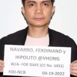 supreme court junks vhong navarro rape case