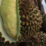 china ranks thai fruit as the most popular import