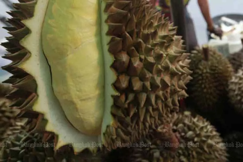 China Ranks Thai Fruit as the Most Popular Import