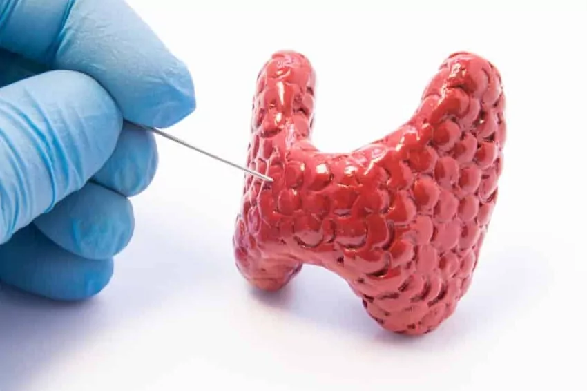 low thyroid cancer awareness among women in makkah region raises concerns