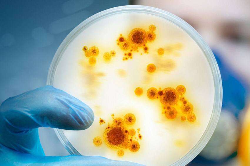 antibiotics study exposes consequences of misuse and urges accurate diagnosis