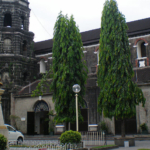 heritage zone in jeopardy manila's condo developer sparks controversy