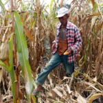 philippines' water and crops at risk el niño alert issued