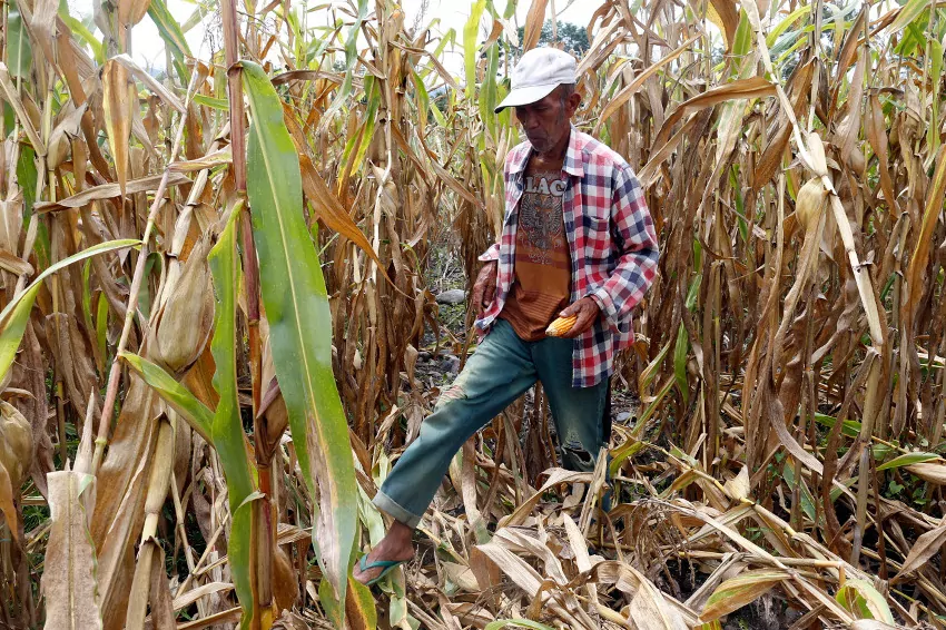 philippines' water and crops at risk el niño alert issued