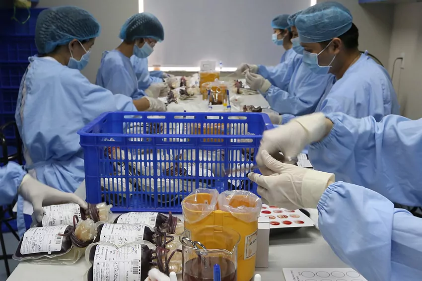 WHO’s Role in Pandemic Prevention: Strategies for Future Health Crises