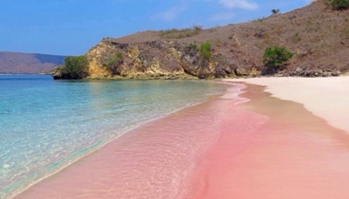 four pink beaches in philippines every traveler must visit