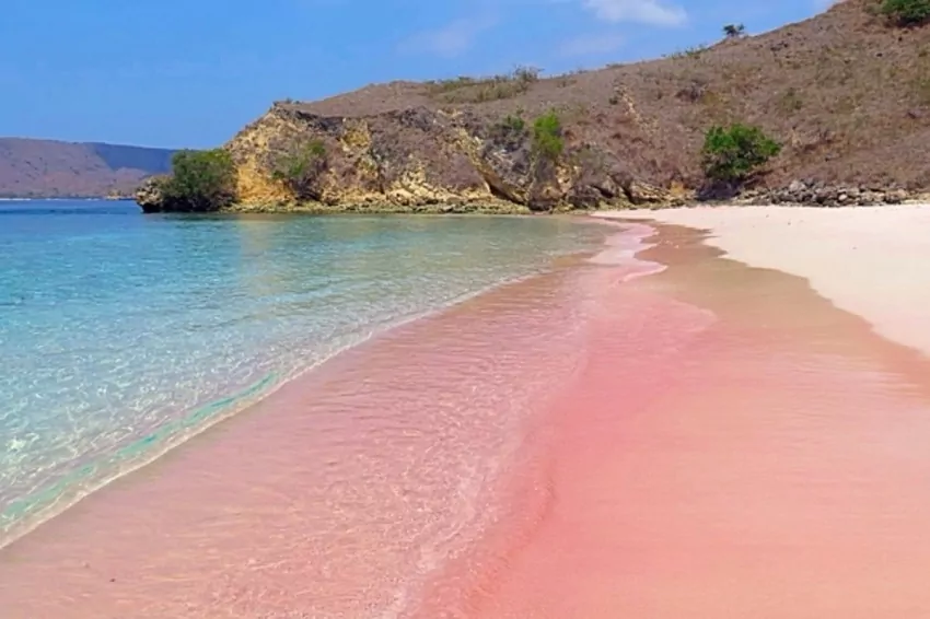 Four Pink Beaches in Philippines every traveler must visit