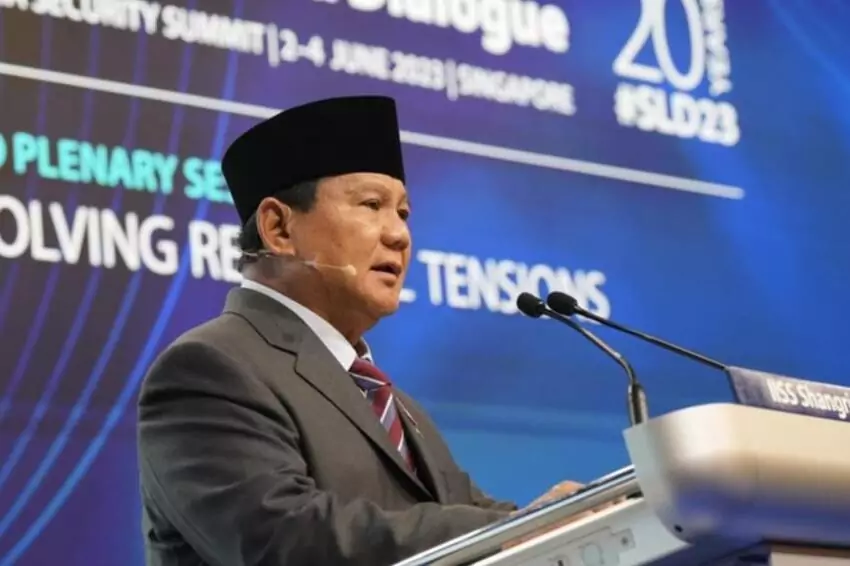 indonesia's peace proposal for ukraine demilitarized zone and un referendum