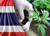 thailand's cannabis legalization navigating challenges and uncertainties