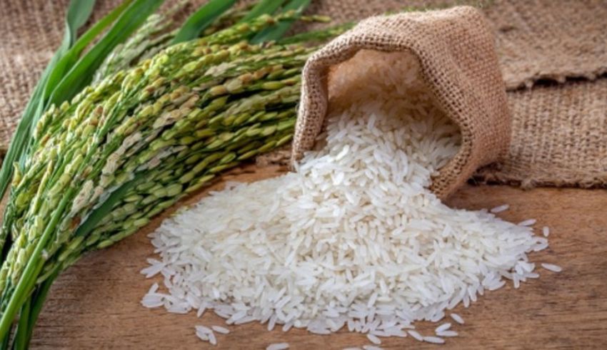 vietnam and thailand el niño's effect on philippines' rice supply chain