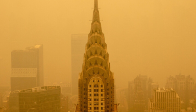 why is new york air orange