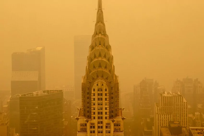 why is new york air orange