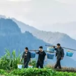 china's poverty alleviation campaign a model of success